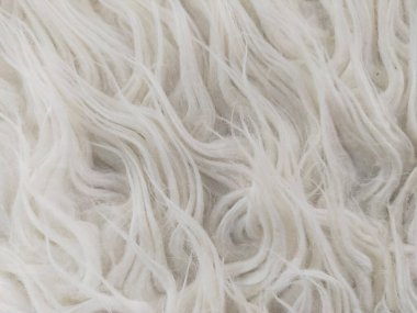 Süsleme için kullanışlı olan hayvan kürkünden yapılmış beyaz yumuşak tüyler.