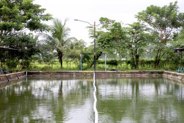 Kasabanın kenar mahallelerinde terk edilmiş eski balıkçı göleti