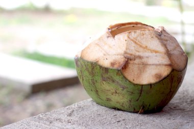 Açık kapaklı hindistan cevizi suyu, bulanık doğal arka planda yan açıyla çekilmiş.