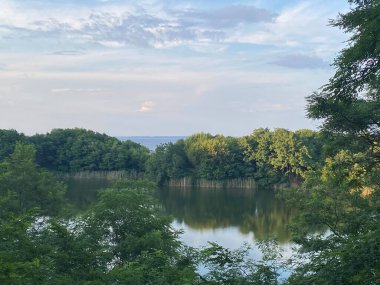 Ormanın ortasında bir göl. 