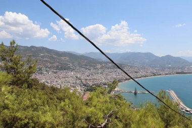 Türk Ege Denizi, plajlar ve palmiye ağaçları 