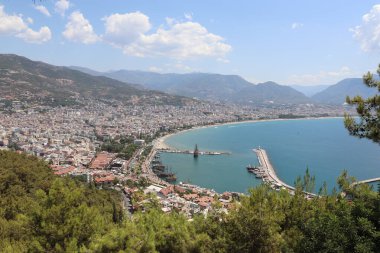 Türk Ege Denizi, plajlar ve palmiye ağaçları 