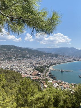 Türk Ege Denizi, plajlar ve palmiye ağaçları 