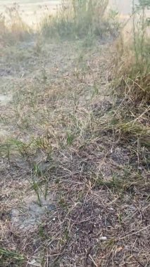 Güzel deniz manzarası