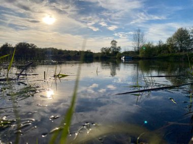 Arkasında bir göl olan güzel bir manzara.
