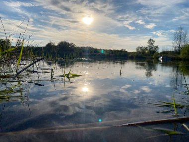 Parktaki güzel göl doğa arka planında