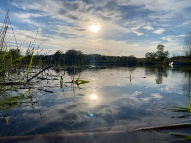Güneşli bir günde güzel bir göl görüntüsü