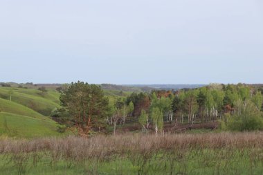 the landscape in the village