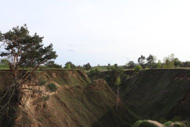 the landscape in the village