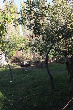 Parktaki güzel bahçe.