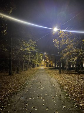 Gece sonbahar park