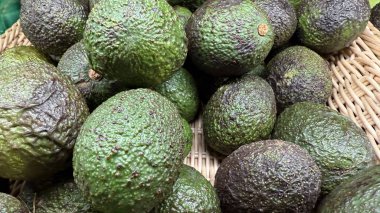 Satılık yeşil avokado