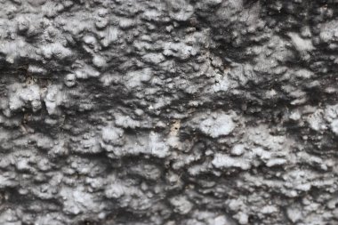 Eski duvarın dokusu