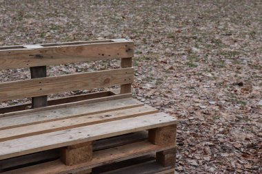 Bahçedeki ahşap bankta