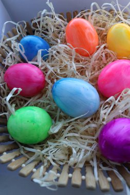Ahşap tepside bir yuvada renkli paskalya yumurtaları. Paskalya tatili arka planı