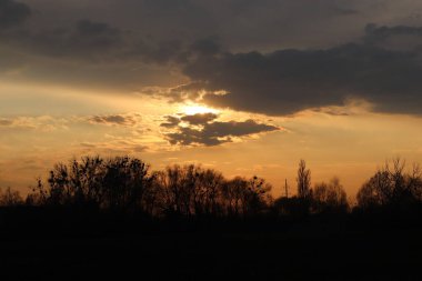 Ormanın üzerinde güzel bir gün batımı