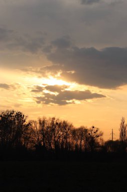 Tarlada güzel bir gün batımı