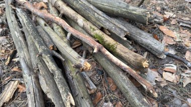 Yakacak odun ve yerde odun var.