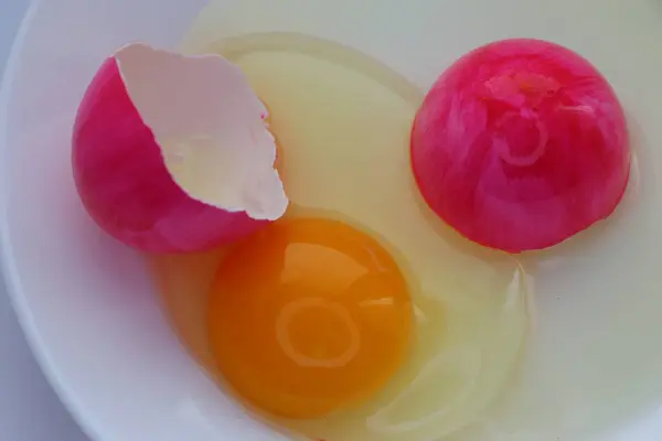 Lezzetli yiyeceklerin yakın görüntüsü