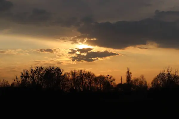 Ormanın üzerinde güzel bir gün batımı