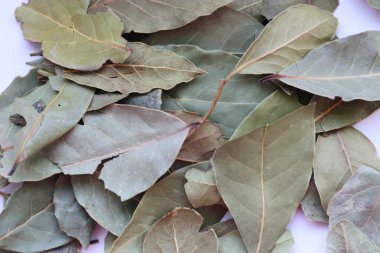 Kuru üzüm yaprakları