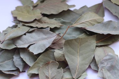 Beyaz arkaplanda kuru yapraklar