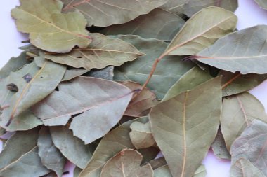 Ahşap arka planda kuru körfez yaprakları