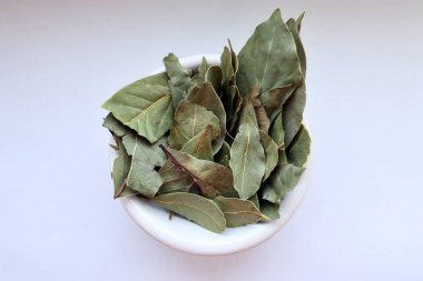 Kurumuş yapraklar, yeşil yapraklar