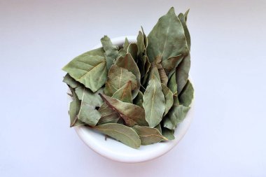 Bir kasede taze yeşil defne yaprağı.