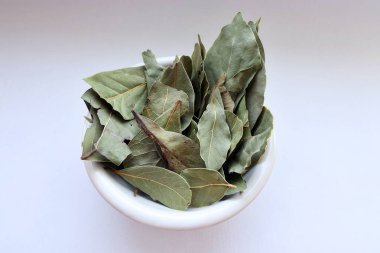 Beyaz arka planda taze adaçayı yaprakları