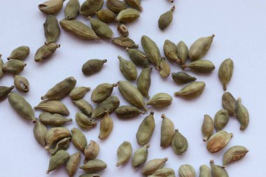 Beyaz arka planda izole edilmiş kuru kakule kapsülleri, yakın plan -.