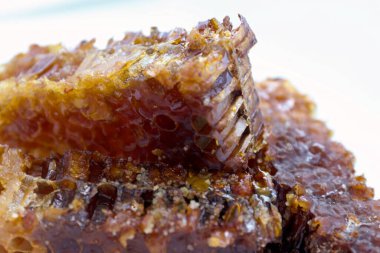 Beyaz tabakta bal bulunan doğal bal peteği. Organik arı ürünü.