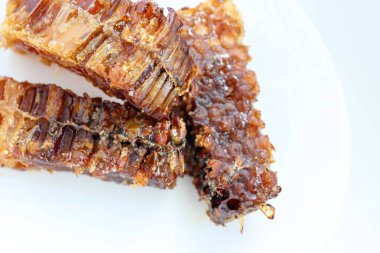 Beyaz tabakta bal bulunan doğal bal peteği. Organik arı ürünü.