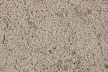  Sandy Surface 'in çakıl taşları ve organik çökeltilerle yakın çekimi Sandy arazisi jeoloji, toprak bilimi veya çevre çalışmaları hakkında eğitici materyallerde kullanılmak üzere detaylandırılmıştır..