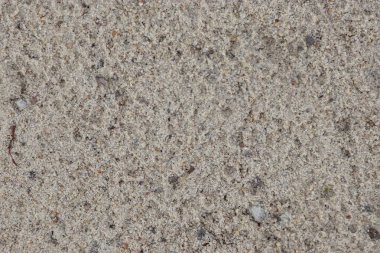  Sandy Surface 'in çakıl taşları ve organik çökeltilerle yakın çekimi Sandy arazisi jeoloji, toprak bilimi veya çevre çalışmaları hakkında eğitici materyallerde kullanılmak üzere detaylandırılmıştır..