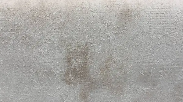 Ürün fotoğrafçılığı, markalaşma, iç tasarım ve dijital tasarım kullanımı için doğal düzensizliklere sahip hafif desenli alçı arka plan