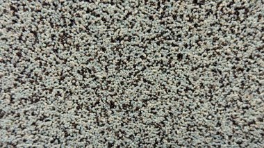 Açık gri tanecikli ve yuvarlak parçacıklara sahip bir yüzeye yakın çekim, yapı, jeoloji, tasarım ve malzeme bilimlerinde kullanılmak üzere ideal, çakıl veya teknik bütünlüğe benzer bir yapı..