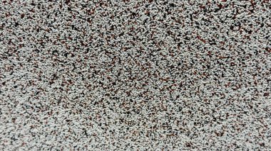 Beyaz, kahverengi ve siyah parçacıkları olan tanecikli bir yüzeye yakın çekim, mimari görselleştirmeler için ideal çakıl veya kuma benzeyen doğal bir doku.,