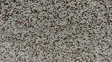 Beyaz ve kahverengi granülleri olan desenli bir yüzeye yakın çekim çatı malzemelerinin veya dekoratif duvarların tipik düz olmayan bir dokusudur..