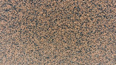 Kahverengimsi-turuncu granüllerle dolu bir yüzeye yakın çekim. Yuvarlak parçacıkların oluşturduğu doğal bir doku. Sıcak ve zengin bir zemin..