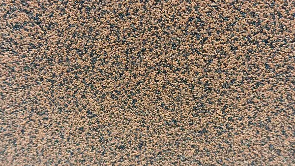 Kahverengimsi-turuncu granüllerle dolu bir yüzeye yakın çekim. Yuvarlak parçacıkların oluşturduğu doğal bir doku. Sıcak ve zengin bir zemin..