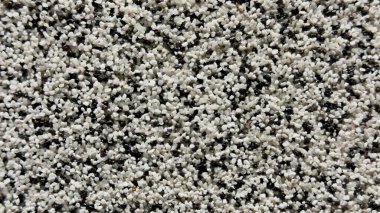 Tasarım, Bilimsel Görselleştirme ve Teknik Projeler için Beyaz ve Siyah Granüllerin Yoğun Dokuları