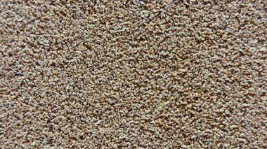 Küçük bej ve açık kahverengi çakıl taşlı tek parça çakıl dokusu Tasarım, peyzaj ve mimari görselleştirmeler için doğal arka plan