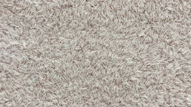 İç Tasarım, Ürün Sunumu ve Tekstil Konseptleri için İdeal Örgü Arkaplanı ile Açık Gri Halı Dokusunun Yakın Çekimi