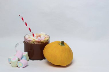 Beyaz arka planda kremalı sıcak çikolata ve balkabağı. Reklam içecekleri, yemek içeriği, sosyal medya, kartpostallar, kafe menüleri ve mevsimlik dekorasyonlar için sonbahar kompozisyonu..