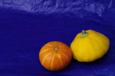 Güz, Hasat ve Mevsimsel Dekorasyon Karşıtlığı Mavi Arkaplan Sembolü Üzerine Canlı Balkabakları