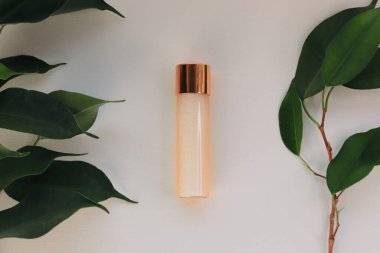 Beyaz zemin üzerinde okaliptüs yaprakları ve şişe olan bir bardak taze portakal suyu.