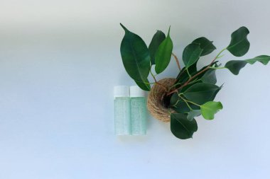 Jute Pot Doğal Kozmetik, Tazelik ve Çevre Bakımı Sembolü 'nde Yeşil Bitkinin Yanında Mavi Jel ile İki Şeffaf Şişe