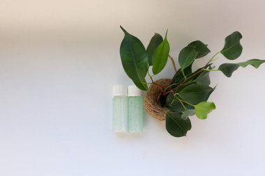 Jute Pot Doğal Kozmetik, Tazelik ve Çevre Bakımı Sembolü 'nde Yeşil Bitkinin Yanında Mavi Jel ile İki Şeffaf Şişe