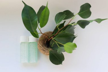 Jute Pot Doğal Kozmetik, Tazelik ve Çevre Bakımı Sembolü 'nde Yeşil Bitkinin Yanında Mavi Jel ile İki Şeffaf Şişe